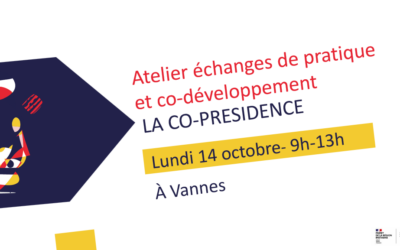 Atelier échange de pratique et co-développement « La co-présidence »